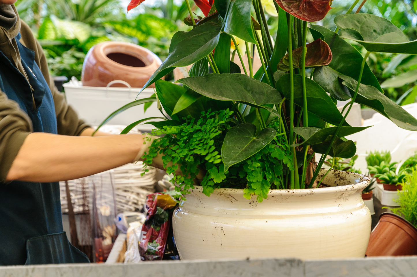 Corso operatore florovivaistico