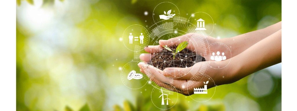 IMPRENDITORE AGRICOLO PROFESSIONALE
